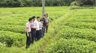 校地企科技结对赋能，助力兴宁市乡村产业高质量发展