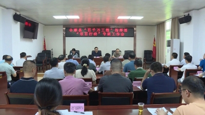 丰顺县“百千万工程”指挥部“双百行动”专班工作会议召开
