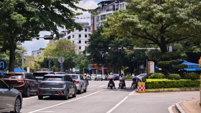 树枝挡住信号灯，“咔咔咔”开剪！