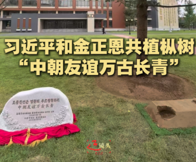 近镜头｜习近平和金正恩共植枞树