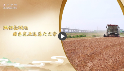 【习声回响】做好盐碱地特色农业这篇大文章