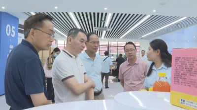 广州市人大常委会到蕉岭县调研：夯实产业根基 强化“造血”功能