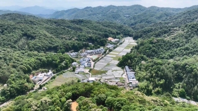守护百姓“舌尖上的安全”！平远食用林产品及产地环境接受“体检” 