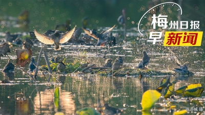 梅州日报早新闻丨梅州公开征集涉黑涉恶违法犯罪线索；广东上调最低工资标准！9月新规来啦→