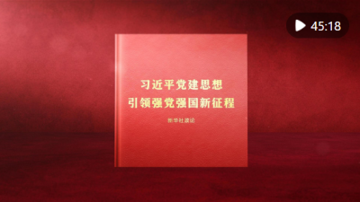 习近平党建思想引领强党强国新征程