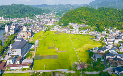 稻浪翻滚伴咖香！梅江区西阳镇阁公岭村绘就乡村振兴新图景