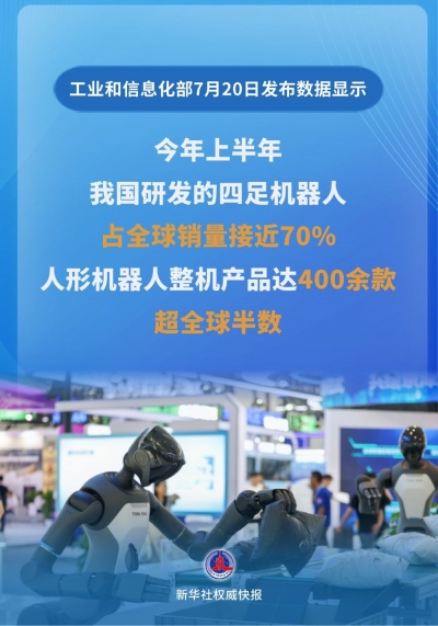 我国人形机器人整机产品超全球半数
