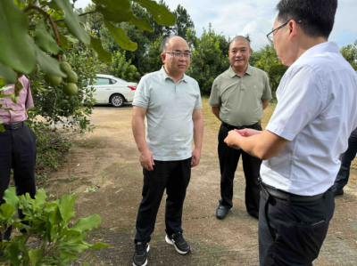 吴特宏到五华开展定点联系镇村“百千万工程”和挂钩联系重点项目工作：高效推进项目建设   大力扶持特色产业