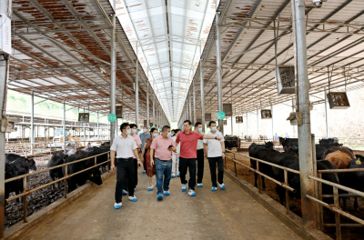 为肉牛全产业链“把脉问诊”！华南农业大学组织党外专家来梅开展“服务百千万”科技服务活动