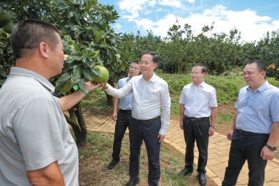 何晓军到梅县区调研：赓续红色血脉 加快苏区振兴 让乡亲们的日子过得像金柚一样又甜又美