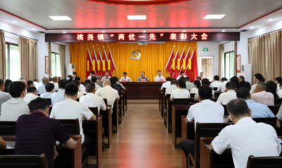 梅县区桃尧镇召开“两优一先”表彰大会