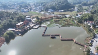擦亮生态乡村底色 做强融合兴村产业！梅县区白沙村走出特色兴村路