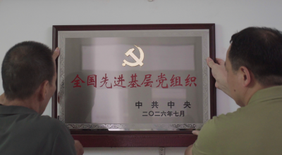 党建领航强堡垒 同心绘就和美村！梅县区丙村镇芦陵村党支部荣获“全国先进基层党组织”称号