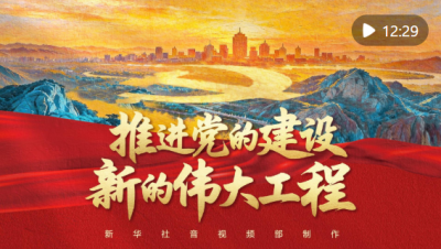 推进党的建设新的伟大工程