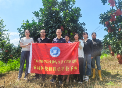 科技赋能蜜柚产业！蕉岭县文福镇开展科技特派员田间助农服务