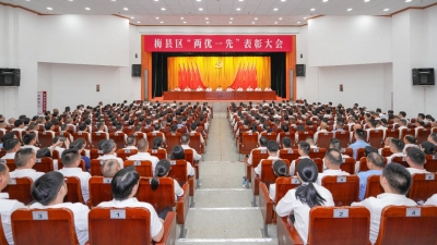 梅县区“两优一先”表彰大会召开