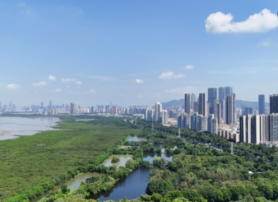 镜观·回响｜守护红树林 中国在行动
