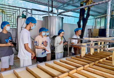 探寻乡村产业发展密码！广东财经大学经彩助农实践团走访兴宁市新圩镇特色产业