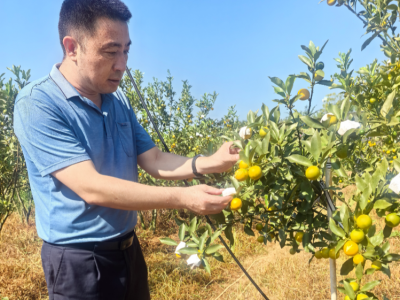 退役不褪色，帮扶践初心！记广州市天河区驻梅州兴宁市坭陂镇帮扶工作队成员、驻村第一书记唐荣军