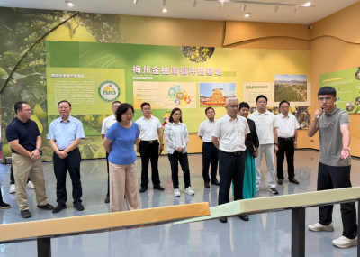袁光平率海南省政协调研组来梅开展专题调研：助力推动服务消费提质升级