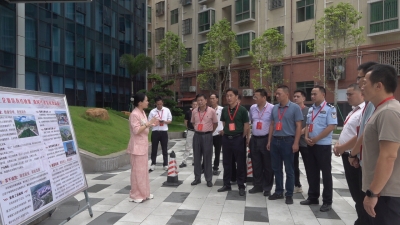 丰顺县丰良镇人大开展“助力优化营商环境·人大代表在行动”主题活动