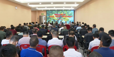 提品质 强品牌！梅县区聚力护航金柚产业高质量发展