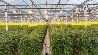梅州V视丨数字农夫智慧种粮记