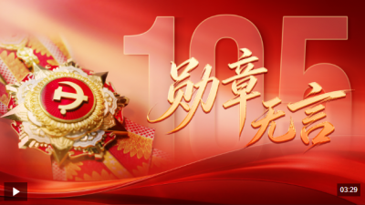 大党丨勋章无言