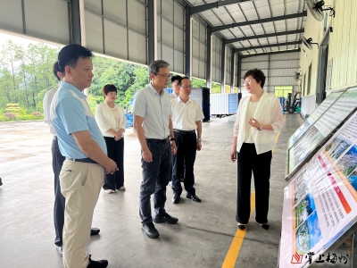蒋鲲率队到丰顺县调研“百千万工程”并讲党课：产业赋能推动高质量发展