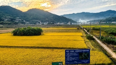 外力赋能、内生造血、全域共进！大埔这样走出苏区振兴之路