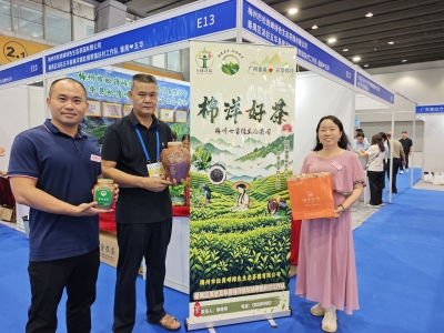 借力广博会舞台，五华棉洋好茶亮相羊城！