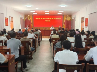 兴宁市刁坊镇开展安全生产与消防安全专项培训