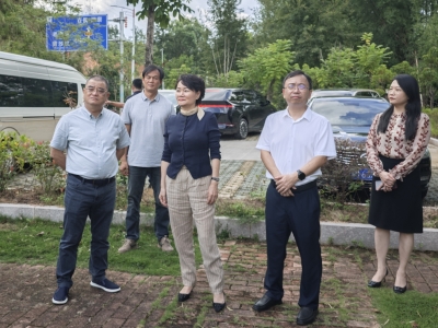 曾碧玉到大埔县枫朗镇调研督导“百千万工程”：努力打造典型镇村示范样板