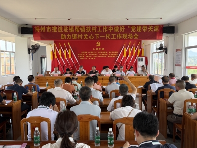 全市推进驻镇帮镇扶村工作中做好“党建带关建”助力镇村关心下一代工作现场会召开