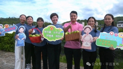 巾帼力量助振兴！来看平远阿嫂闯云端的共富故事