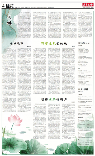 寿乡蕉岭·桂花