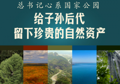 此行间·总书记心系国家公园：给子孙后代留下珍贵的自然资产