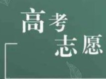 广东高考专科征集志愿投档完成，历史类投档最低分最高512分，物理类511分