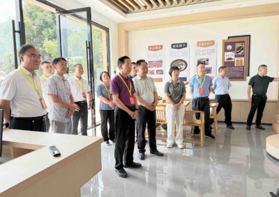 马志元率部分市政协委员开展专题视察：持续巩固提升美丽圩镇建设成效
