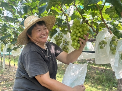 深耕产业沃土，激活乡村动能！梅江区三角镇龙上村以产业助力“百千万工程”