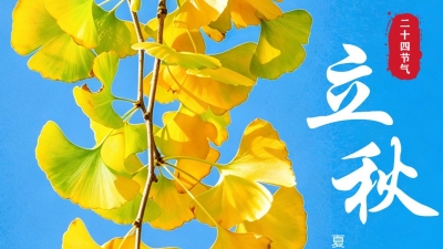 这就，立秋了？！