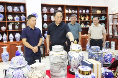 何晓军到大埔县调研：做大做强县域特色产业 扎实推进城乡协调发展