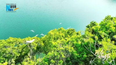 “现在好时节”广东省梅州市大埔县：韩江淌韵长寿乡 客韵风华启新程