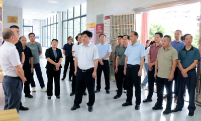 兴宁市人大常委会组织开展公共文化服务发展情况专题调研