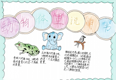 梅江区普育小学赖筱颖丨手抄报