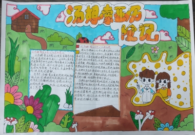 梅江区金山光远小学杨镓璐丨手抄报