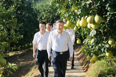 农业强省必须上好“品牌课”丨广东农产品品牌建设十论②
