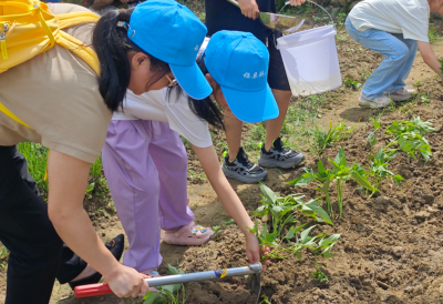 走出城市课堂，走进乡村田间地头！梅县区这场亲子科普实践活动，超有趣！