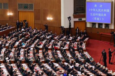 筑牢美丽中国建设的法治基石