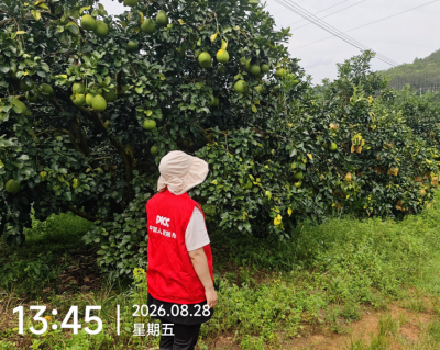 人保财险梅州市分公司提前部署，全面做好台风“沙德尔”防范应对工作
